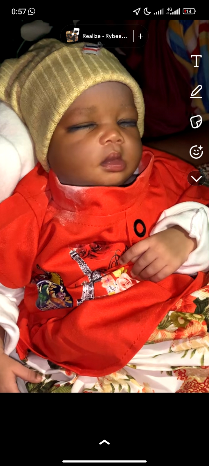 Fatima Ibrahim Muhammed